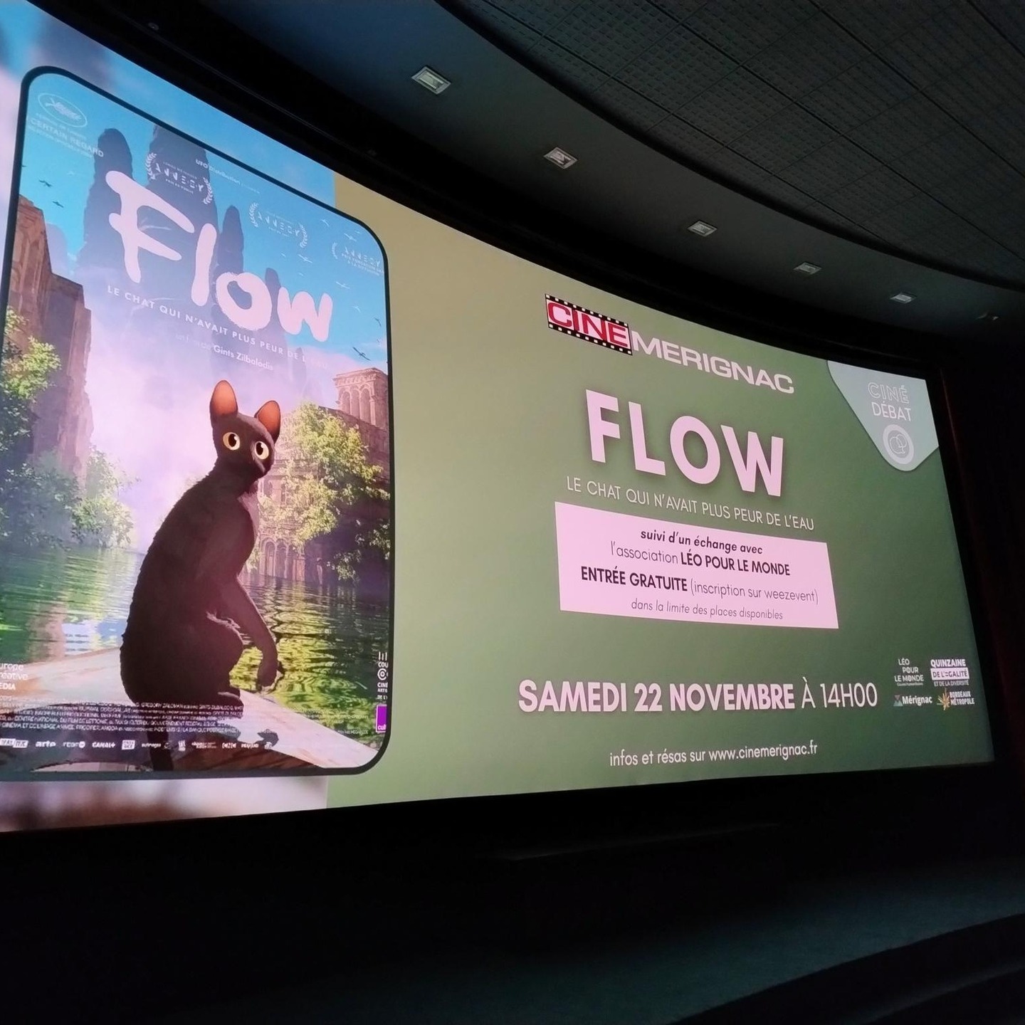 🎬 CINE-PHILO : Projection du film "Flow" et réflexion sur le vivre-ensemble

Les 22 et 26 novembre derniers, Léo Pour Le Monde a organisé pour la première fois un atelier CINE-PHILO, avec la projection du film Flow, suivie d’une réflexion collective sur le respect mutuel, la tolérance et la citoyenneté.

Cet atelier a permis à tout public de s’exprimer librement, confronter leurs idées et analyser ensemble les enjeux du vivre-ensemble. Un moment d’échanges riche, participatif et engagé, qui renforce leur compréhension du monde et leur capacité à y contribuer de manière responsable. 💬

🙏 Un grand merci aux jeunes et aux moins jeunes pour leur participation active ; à nos deux intervenantes Sophie & Sophie pour l'animation de qualité ; et aux cinémas de Mérignac et de Cadillac pour leur accueil chaleureux !

Une première réussie… à renouveler !

Evénements organisés dans le cadre de la Quinzaine de l'égalité et de la diversité (Bordeaux Métropole & Ville de Mérignac) et du projet "Citoyens en devenir - Agir ensemble pour construire l'avenir" (CAF de la Gironde & Préfecture de la Gironde - MISSION LOCALE DES DEUX RIVES, MISSION LOCALE TECHNOWEST, MJC centre-ville)