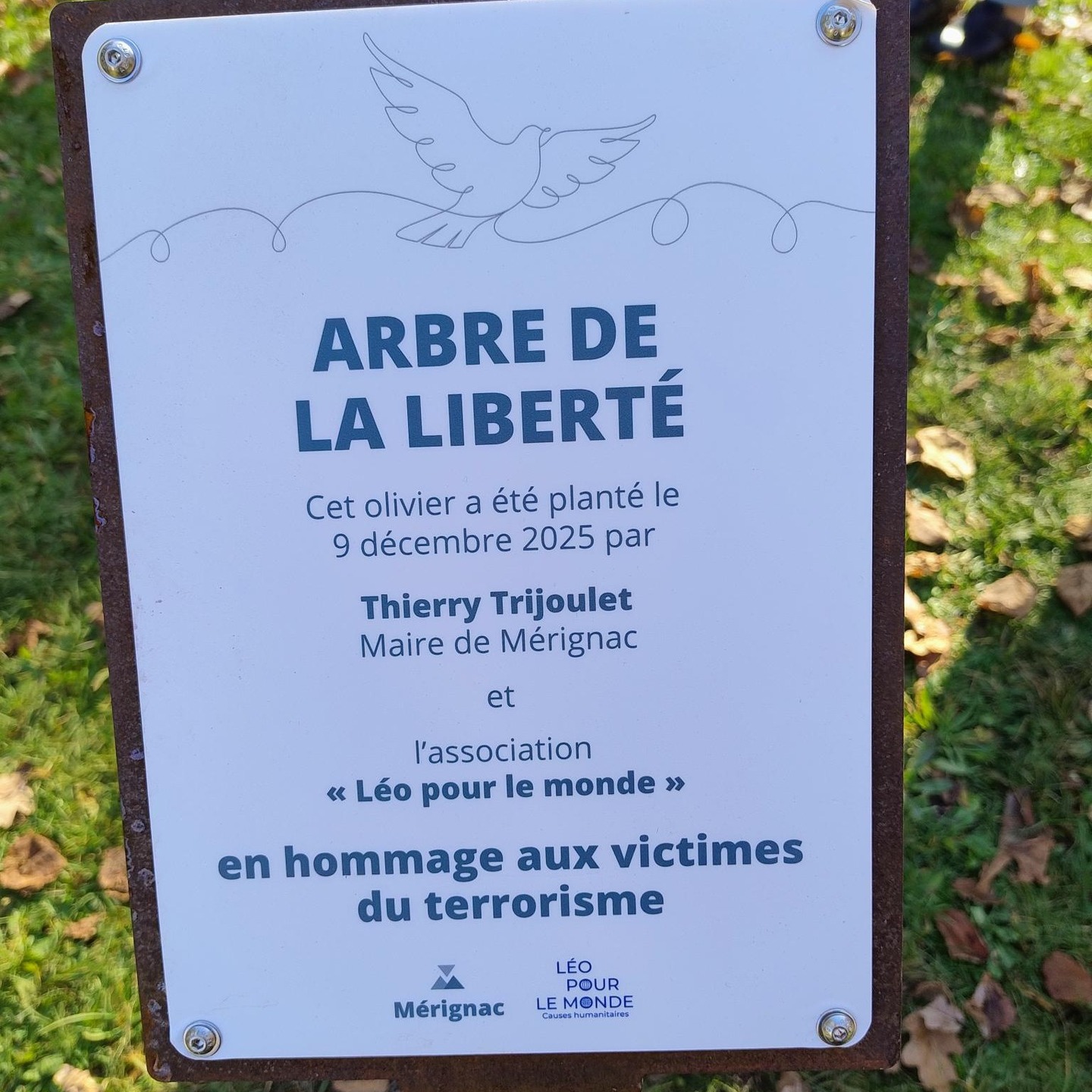 Aujourd'hui, 9 décembre 2025, avec Monsieur le Maire de @villedemerignac nous avons planté l'arbre de la liberté, en hommage aux victimes du terrorisme.
"Il y a un peu plus de cinq ans, Léo et ses amis, Antonin, Boubacar, Charline, Kadri, Myriam, Nadifa, Stella, travailleurs humanitaires et guide, ont été assassinés lors de l’attentat terroriste de Kouré au Niger le 9 Aout 2020.
A cause de ce qu’ils représentaient : parce qu’ils étaient libres !
A la suite de ce terrible événement avec 14 des amis de Léo, nous avons souhaité poursuivre son engagement et surtout agir pour qu’un tel événement ne se reproduise pas.
C’est pour cela, qu’à travers Léo Pour Le Monde, nous portons des actions en faveur de l’éducation, formelle à l’international, populaire en France, pour favoriser l’égalité des chances, le vivre ensemble l’ouverture sur le monde, et développer des valeurs de solidarité, de liberté, de tolérance, de fraternité, et ainsi lutter contre toutes formes de violence et d’obscurantisme.
Aujourd’hui, jour anniversaire de la loi de la laïcité de 1905, avec Monsieur le Maire, la ville de Mérignac, nous plantons l’arbre de la liberté, en hommage aux victimes du terrorisme, de toutes les victimes.
Car malheureusement lors des attentats sont touchées de nombreuses personnes, les victimes directes elles-mêmes, les familles, les proches, les amis, ceux dont le métier est de porter secours, de protéger, de soigner, et aussi les personnes qui ont aidé spontanément, ceux qui ont vu, entendu, lu et ceux qui accompagnent les victimes.
Au-delà de l’hommage, du devoir de mémoire, pour tous les attentats en France et à l’étranger, cet arbre de la liberté, c’est aussi dire plus jamais et prévenir !"